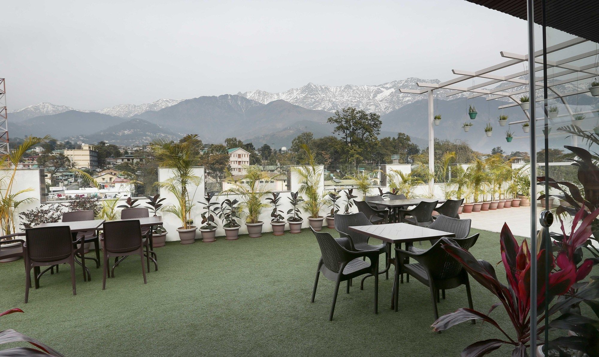 Treebo Trend Gk Conifer Hotell Dharamshala Eksteriør bilde
